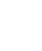 Форма 1.1