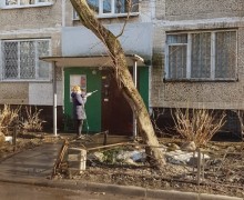 Помывка фасада по адресу ул. Будапештская д. 38 к. 7 (3).jpg