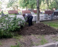 Благоустройство газонов по адресу ул. Ярослава Гашека д. 30-5(4).jpg