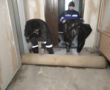 Косметический ремонт лестничной клетки#4 по адресу ул. Бухарестская д. 122 к. 1 (2).jpg