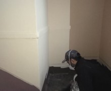 Косметический ремонт лестничной клетки #11 по адресу ул. Бухарестская д. 67 к. 1 (3).jpg