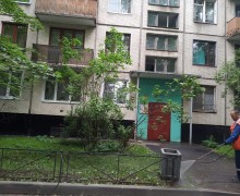 Помывка фасада, урн, подходов по адресу ул. Бухарестская д. 72 к. 2 (5).jpg