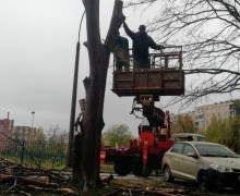 Спил сухого дерева по адресу ул. Будапештская д. 103-49 (2).jpg