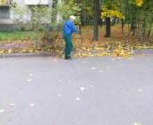 Уборка листвы (5).jpg