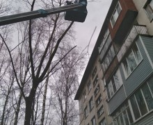 Формовка деревьев по адресу ул. Бухарестская д. 67 к. 4 (2).jpg