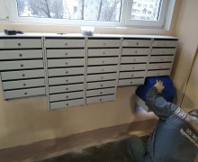 Установка почтовых ящиков, урны и информационного стенда по адресу ул. Бухарестская д. 67 к. 1 (парадная 9)  (2).jpg