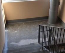 Окончание косметического ремонта лестничной клетки #6 по адресу ул. Бухарестская д. 78 (4).jpg