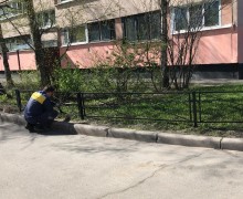 Окраска газонного ограждения по адресу ул. Бухарестская д. 78 (1).jpg