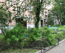 Установка газонного ограждения по адресу ул. Турку д. 8 к. 2 (2).jpg
