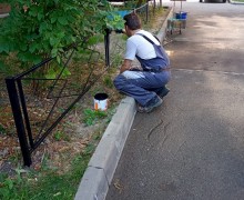 Окраска газонного ограждения по адресу ул. Белы Куна д. 22 к. 1 (2).jpg