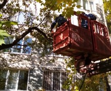 Санитарная прочистка деревьев по адресу ул. Турку д. 22 к. 2 (1).jpg