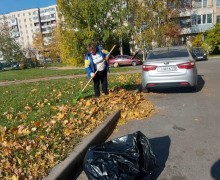 Активно продолжается уборка листвы (5).jpg