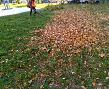 Активно продолжается уборка листвы (2).jpg