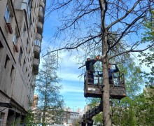 Спил аварийных деревьев по адресу ул. Бухарестская, д.122.jpeg
