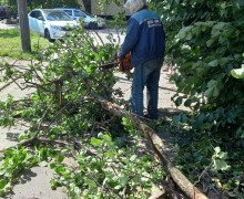 Распил и вывоз сломанного дерева у дома 23 по улице Белы Куна. (2).jpeg