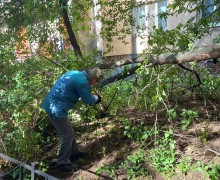 Распил и вывоз аварийного дерева по адресу ул. Малая Бухарестская, д.11.60.jpeg