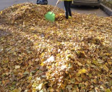 Уборка листвы.jpeg