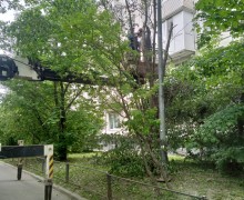 Спил аварийных деревьев по адресу ул. Пражская д. 13.jpeg