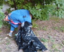 Уборка мусора с газона по адресу ул. Будапештская, д. 86, корп. 1 (5).jpeg