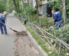 Распил спиленных деревьев, для дальнейшей утилизации по адресу ул. Бухарестская, д. 94, корп.4 (1).jpeg